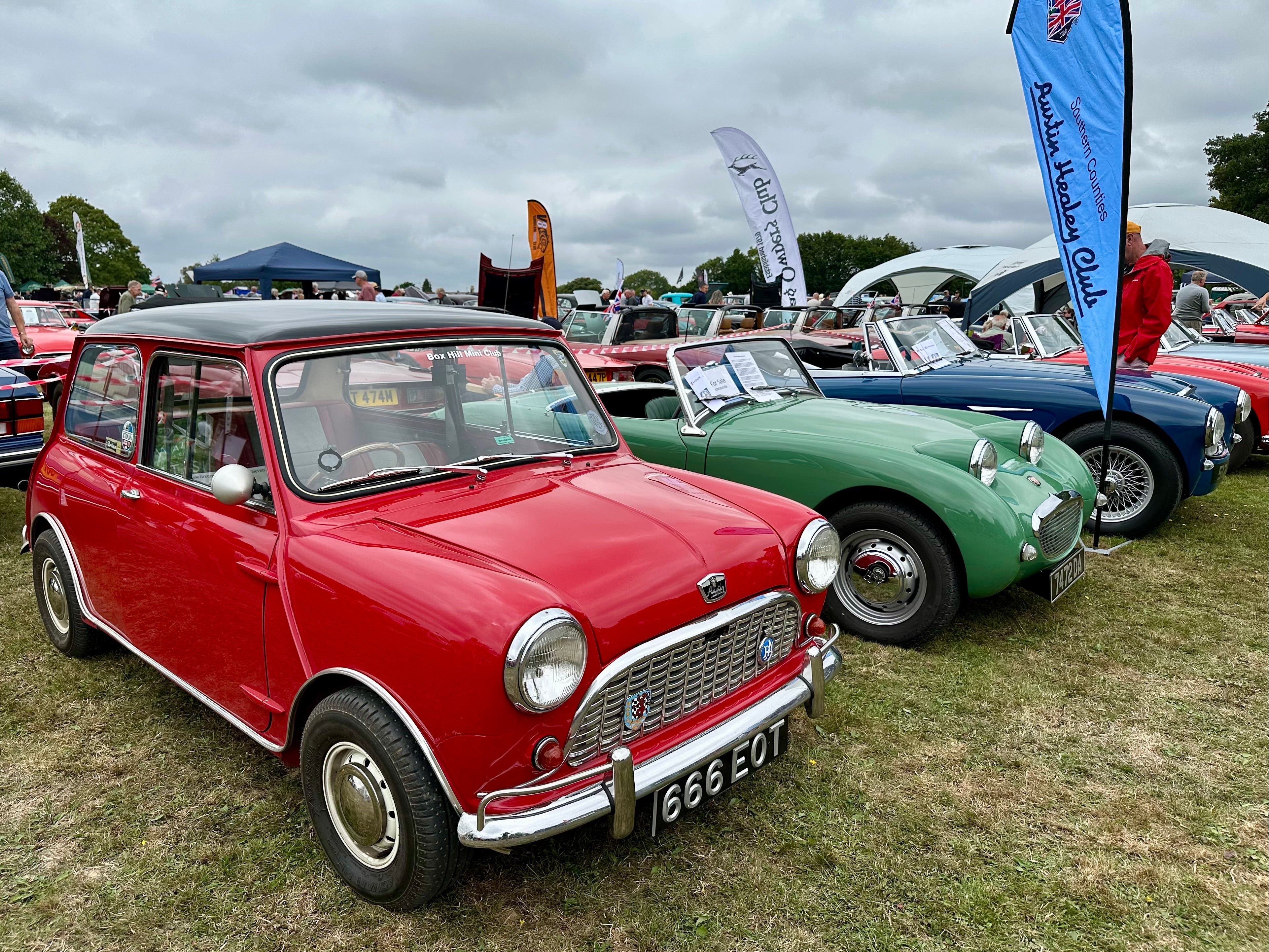 Phil Mires Classic Cars at The Capel Show 2025
