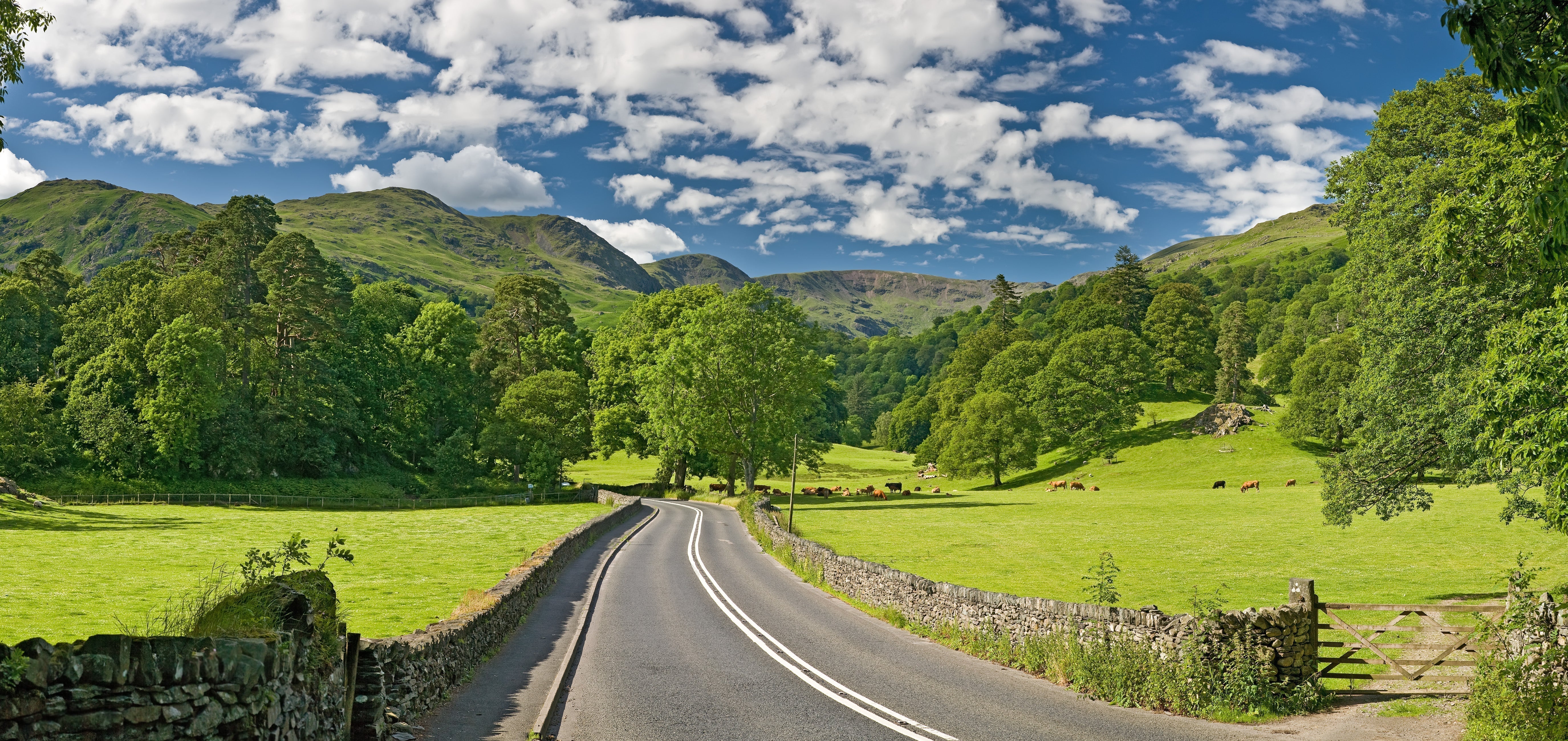 Best road trips for classic car enthusiasts in 2025