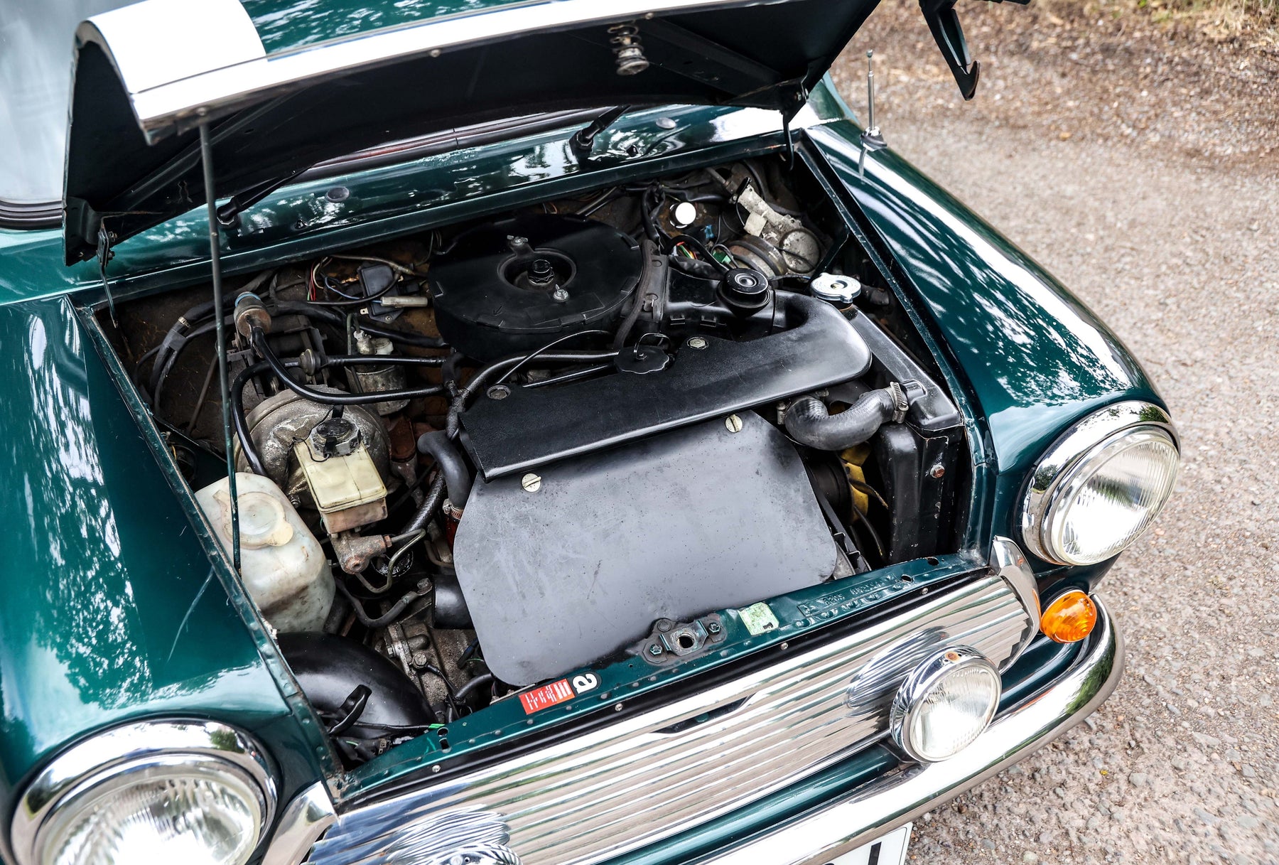 How to care for your Classic Mini in hot weather