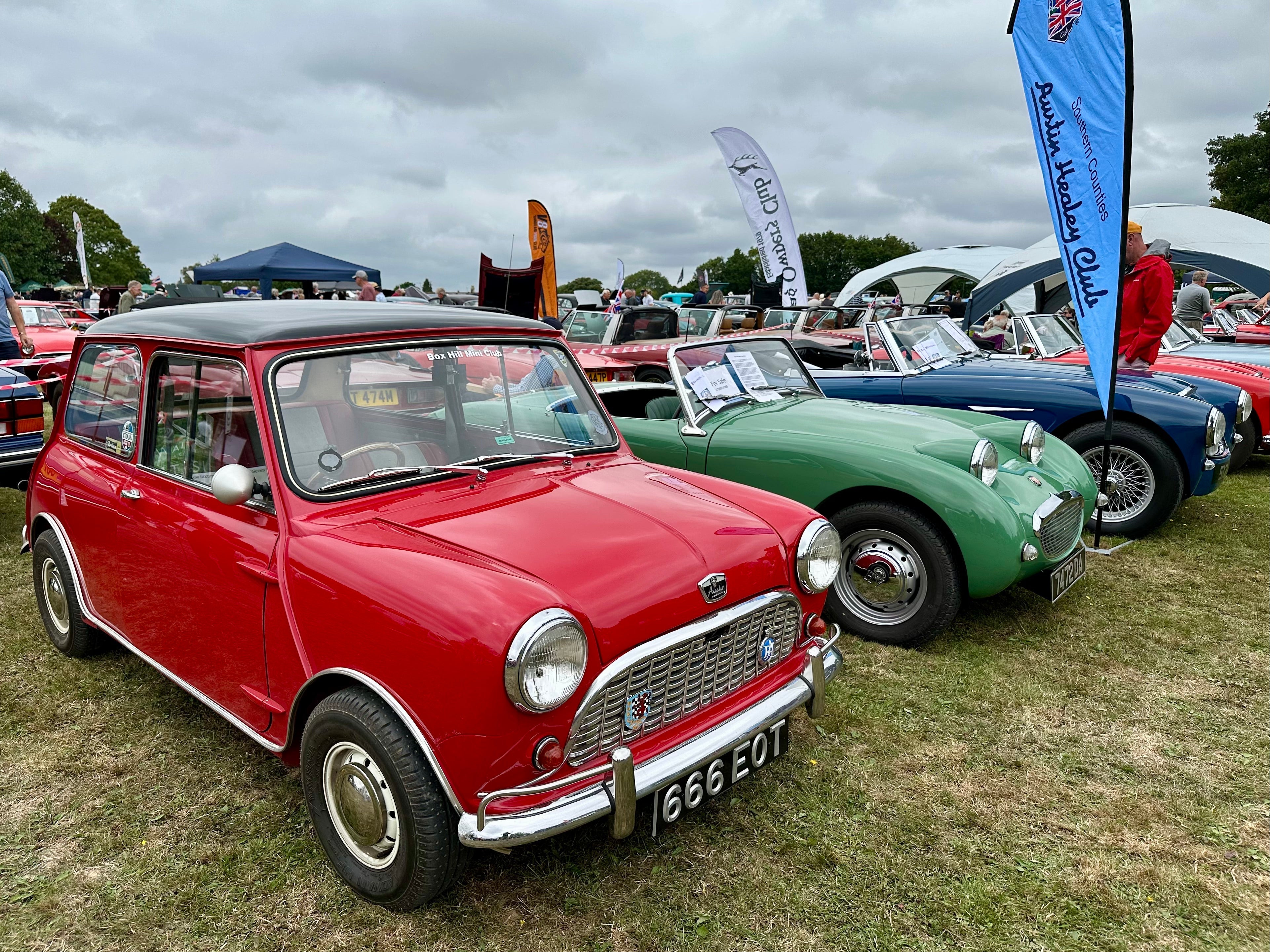 Phil Mires Classic Cars at The Capel Show 2025