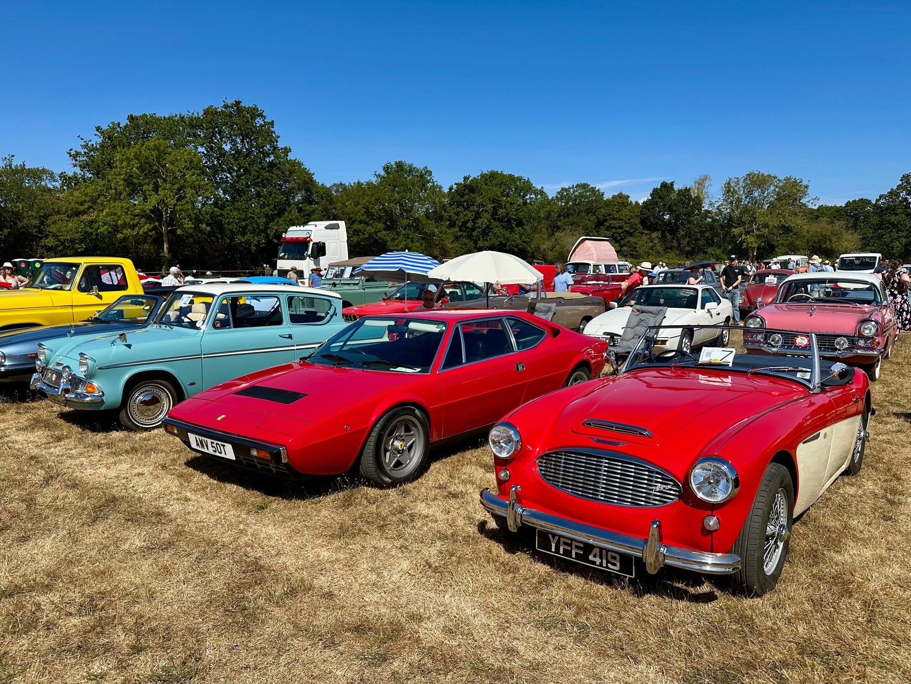 Cranleigh Lions Classic Car Festival 2026