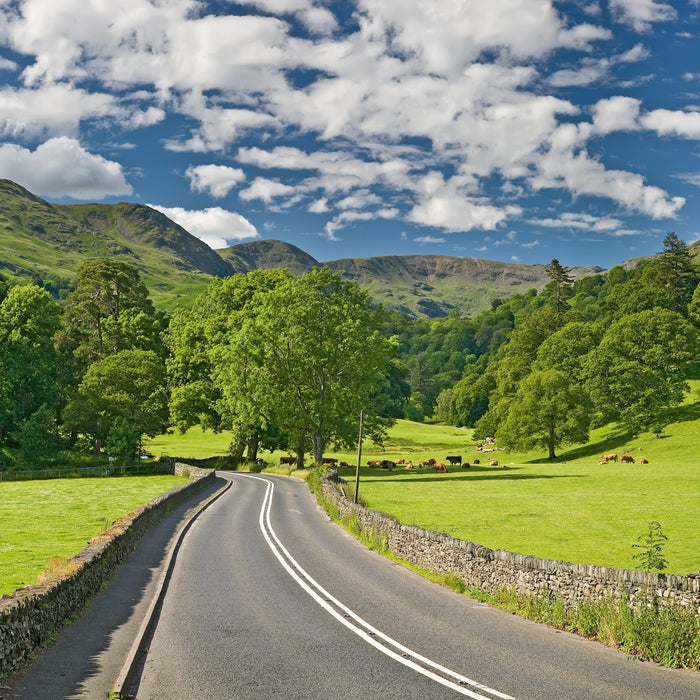 Best road trips for classic car enthusiasts in 2025